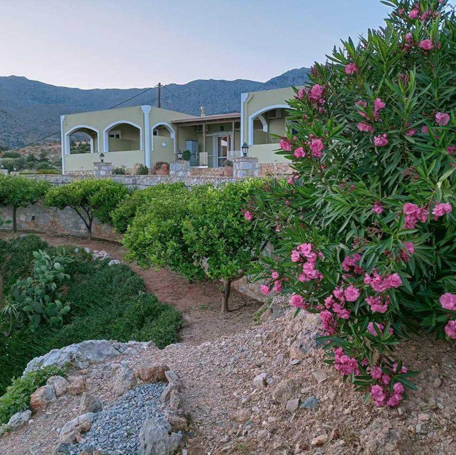 Souda Panorama Apartment Plakias Exterior photo